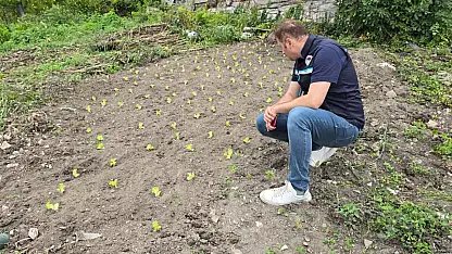 Fideler Toprağa Hayat Vermeye Başladı