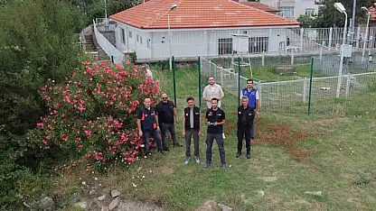 İnebolu'da Heyelan Alanında Kalıcı Çözüm İçin İnceleme