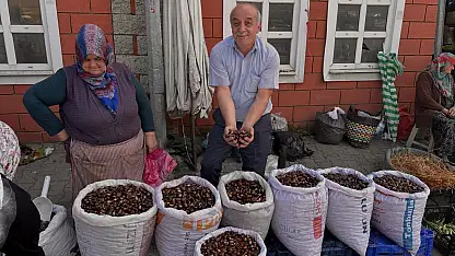 İnebolu'da Kestane Bereketi