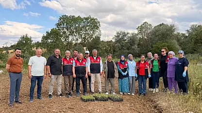 Kastamonu'da Tıbbi Ve Aromatik Bitki Üretimine Güçlü Destek