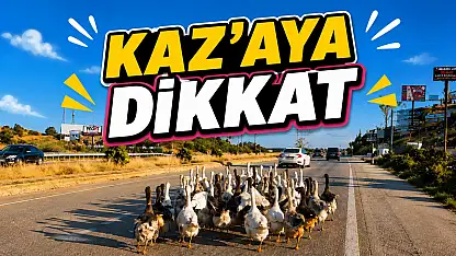 Kazaya Dikkat!