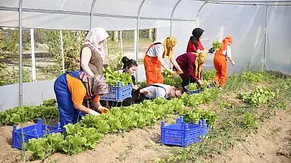 Özel Yürekler Serada Üretim Heyecanı Yaşadı