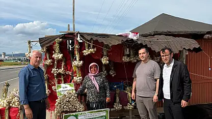 Taşköprü Sarımsağı İçin Denetimler Sürüyor