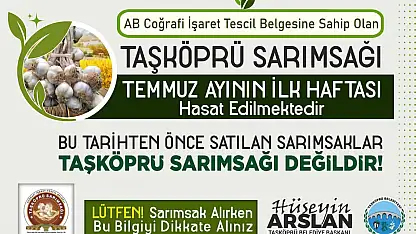 Taşköprü Sarımsağı İçin Uyarı: Hasat Öncesi Satışlara Dikkat