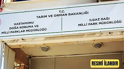 Tosya DKMP Şefliği Hizmet Binası Ve Ek Bina Bakım Onarım İşi