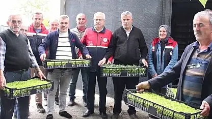 Üreticilere 88 Bin 400 Sebze Fidesi Desteği