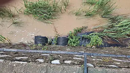 Dereye Karışan Kimyasal Atık Karadeniz'e Aktı