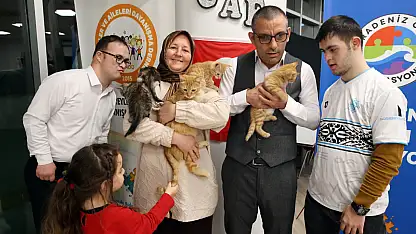 Yavru Kediler Özel Bireylerin Mutluluk Kaynağı Oldu