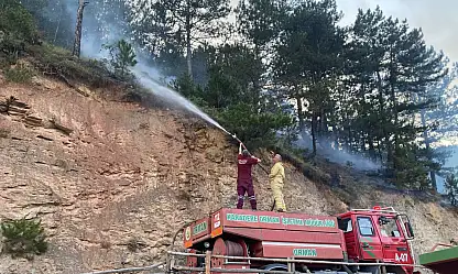 Evde Çıkan Yangın Ormana Sıçradı