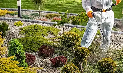 Kastamonu'da İlaçlama Seferberliği Başladı: Bugün Hangi Sokaklar İlaçlanacak?