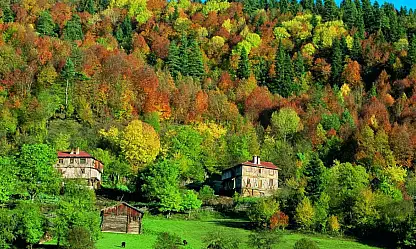 Küre Dağları Ne Zaman Milli Park İlan Edildi?
