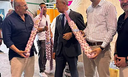 Taşköprü Sarımsağı Avrupa Sahnesinde
