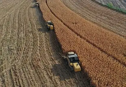 237 Milyon Liralık Destek Çiftçilerin Hesaplarına Aktarılıyor