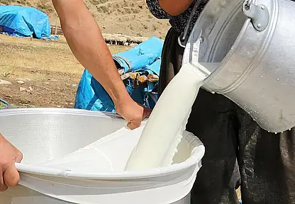 Çiğ Süt Üretimi Yüzde 4,9 Azaldı
