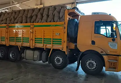 Kastamonu'da 100 Tonun Üzerinde Fındık Aldı