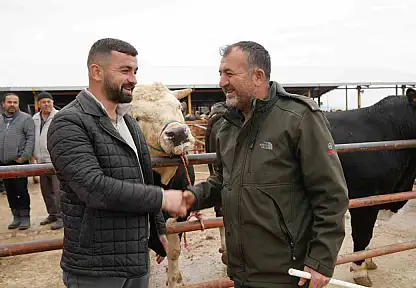 850 Kilogramlık Tosun 340 Bin Liraya Alıcı Buldu