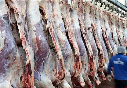 Kırmızı Et Üretimi Yüzde 10,5 Azaldı