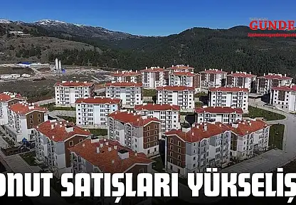 Konut Satışları Yükselişte