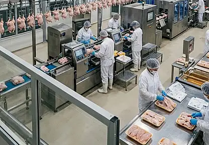Kümes Hayvancılığı Üretiminde Yükseliş Sürüyor