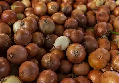 Kuru Soğanda Gümrük Vergisi Yeniden Düzenlendi