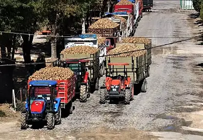 Pancar Alım Fiyatı Belli Oldu