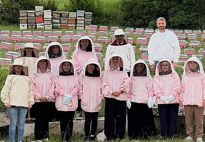 'Pembe Maskeliler' Arı Sütüyle Ekonomiye Katkı Sağlayacak