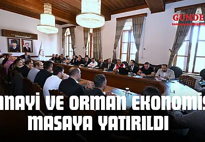 Sanayi Ve Orman Ekonomisi Masaya Yatırıldı