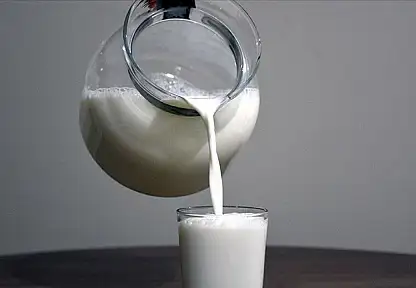 Türkiye Çiğ Süt Üretiminde Avrupa'da İlk 3'te