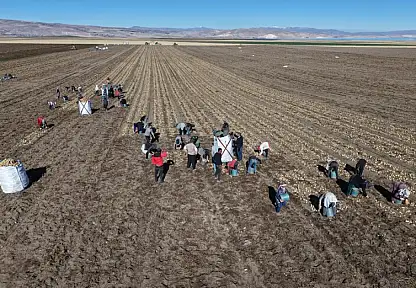 Valiliklere 'Mevsimlik İşçilerin Çalışma Ve Yaşam Koşullarının İyileştirilmesi' Talimatı