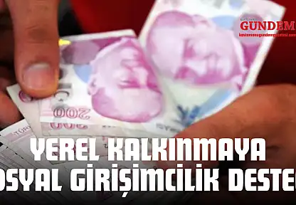Yerel Kalkınmaya Sosyal Girişimcilik Desteği