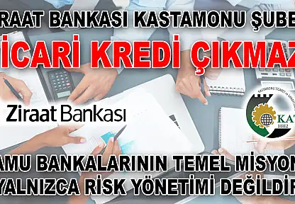 Ziraat Bankası Kastamonu Şubesi Ticari Kredi Çıkmazı Kamu Bankalarının Temel Misyonu Yalnızca Risk Yönetimi Değildir