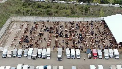Canlı Hayvan Pazarları Kapatıldı