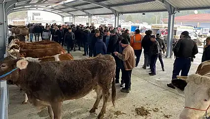 O İlçede Canlı Hayvan Pazarı Kapatıldı