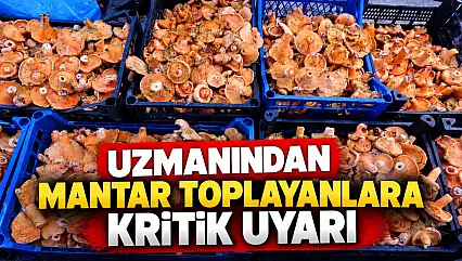 Uzmanından Mantar Toplayanlara Kritik Uyarı