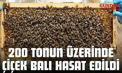 200 Tonun Üzerinde Çiçek Balı Hasat Edildi