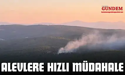 Alevlere Hızlı Müdahale