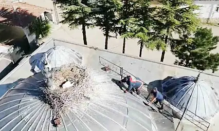 Ayağı yuvasındaki ipe takılan yavru leyleği itfaiye kurtardı