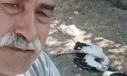 Bahçesindeki leyleklerin öldüğünü görünce gözyaşlarına boğuldu