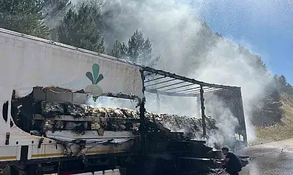 Bolu'da şeker yüklü tır alev aldı, yangın ormana sıçradı