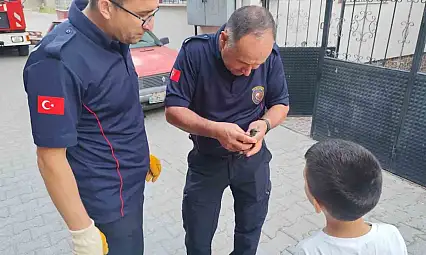 Çorum'da çatı kenarına sıkışan kuşu itfaiye kurtardı