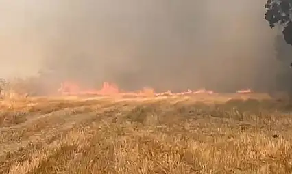 Eskipazar'da anız yangını korkuttu