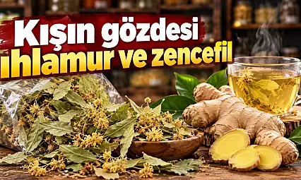 Kışın Gözdesi Ihlamur Ve Zencefil