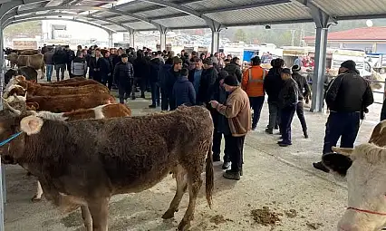 O İlçede Canlı Hayvan Pazarı Kapatıldı