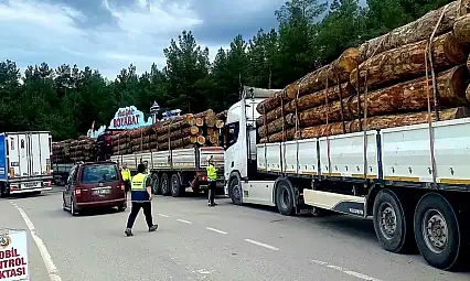 Sinop'ta orman emvali nakilleri denetimi