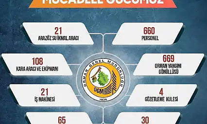 Sinop'ta orman yangınlarına karşı seferberlik