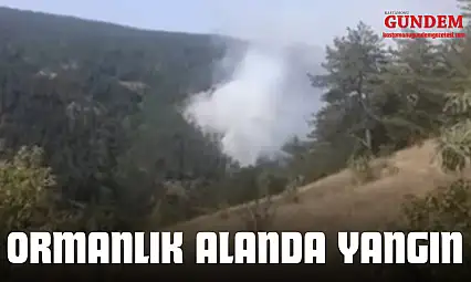 Taşköprü'de Orman Yangını