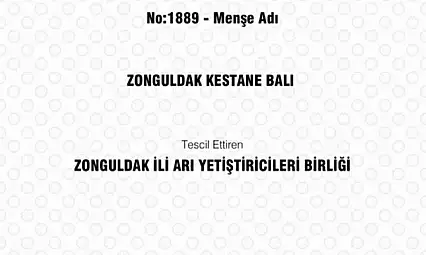 Zonguldak kestane balı coğrafi işaret tescili aldı