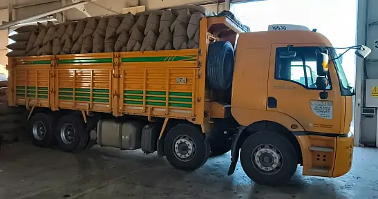 Kastamonu'da 100 Tonun Üzerinde Fındık Aldı