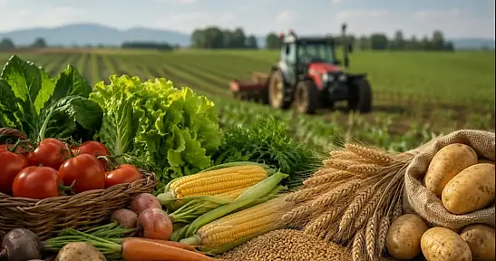 Tarım Ürünleri Üretici Fiyat Endeksi Geriledi