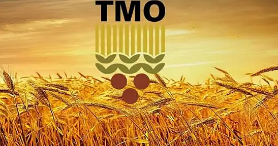 TMO'dan Rekor Hububat Alımı